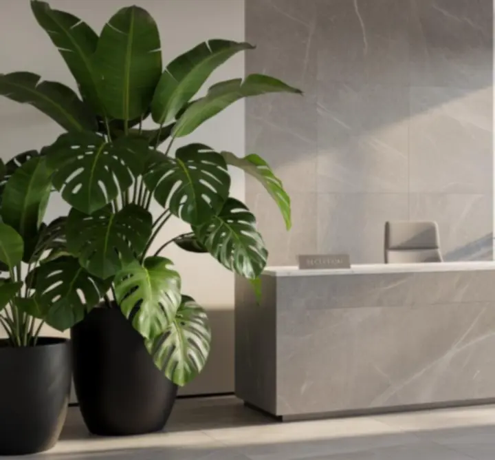 Recepcja firmy z dużymi tropikalnymi roślinami w eleganckich donicach